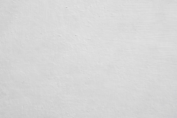 Best Emergency Mold Remediation  in Montrose Ghent, OH