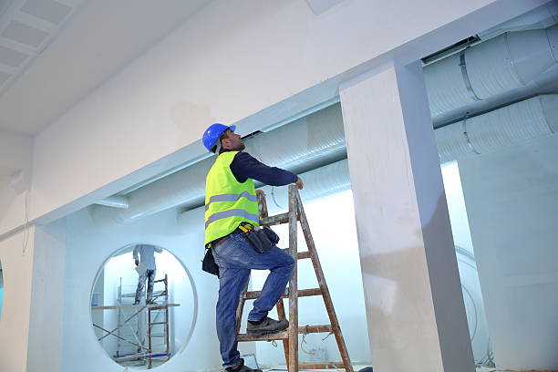  Montrose Ghent, OH Mold Removal Pros